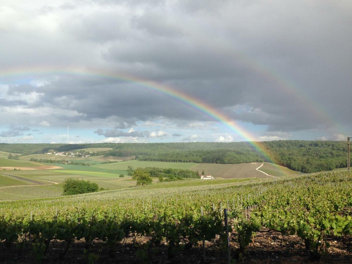 Flor'Ever En Champagne Fleury-la-Riviere Εξωτερικό φωτογραφία