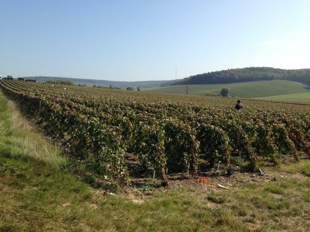 Flor'Ever En Champagne Fleury-la-Riviere Εξωτερικό φωτογραφία