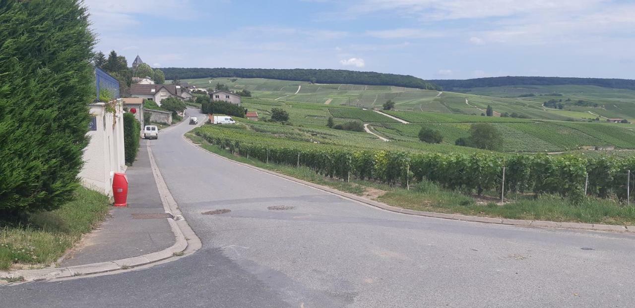 Flor'Ever En Champagne Fleury-la-Riviere Εξωτερικό φωτογραφία