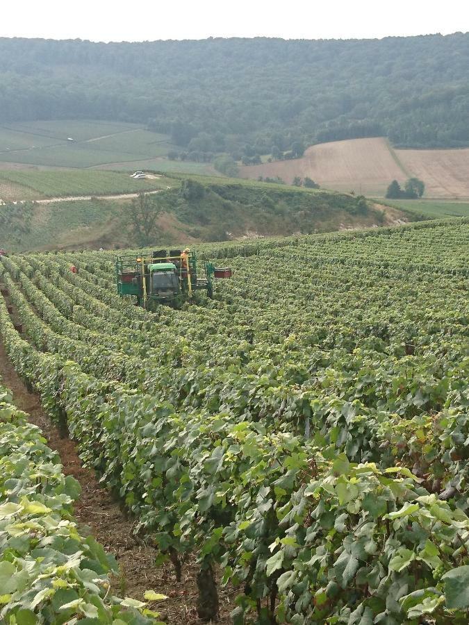 Flor'Ever En Champagne Fleury-la-Riviere Εξωτερικό φωτογραφία