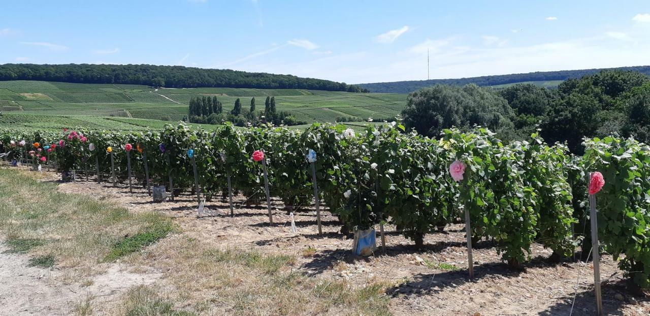 Flor'Ever En Champagne Fleury-la-Riviere Εξωτερικό φωτογραφία